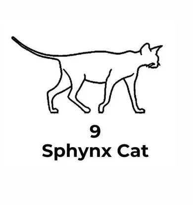 Custom Cat Necklace