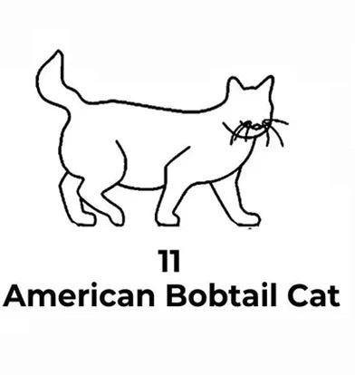 Custom Cat Necklace