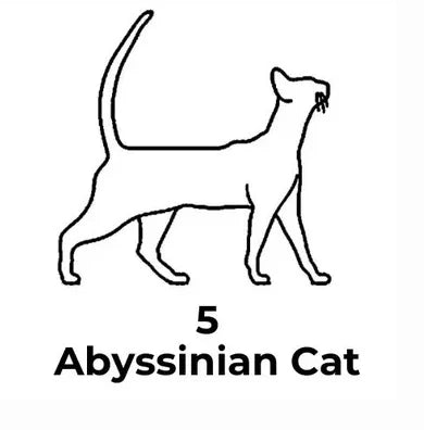 Custom Cat Necklace