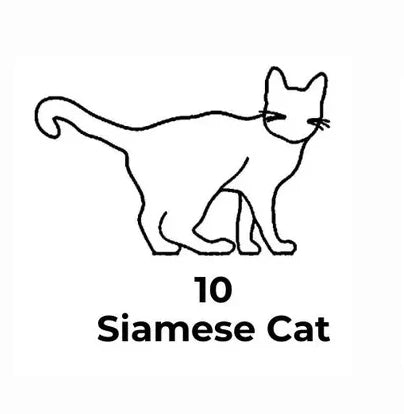 Custom Cat Necklace